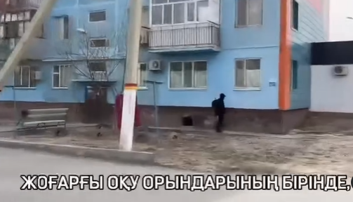 Қауіптің алдын алу және салдарын азайту